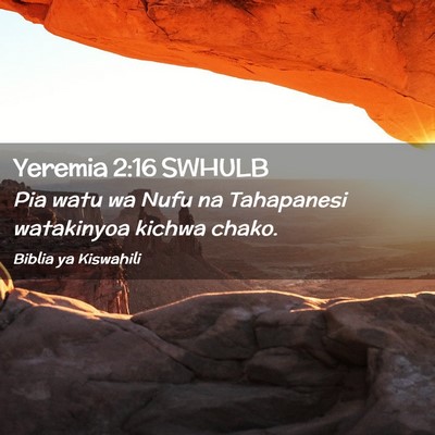Picture 02 - Yeremia 2:16 SWHULB - Pia watu wa Nufu na Tahapanesi watakinyoa kichwa - Bible Verse Picture
