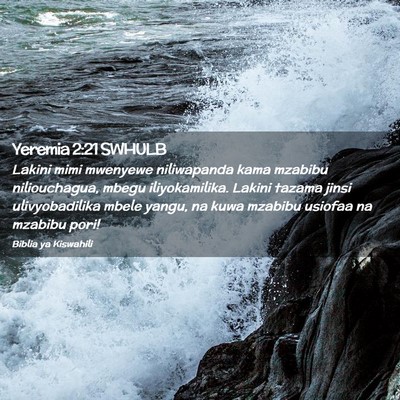 Picture 02 - Yeremia 2:21 SWHULB - Lakini mimi mwenyewe niliwapanda kama mzabibu - Bible Verse Picture