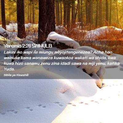 Picture 02 - Yeremia 2:28 SWHULB - Lakini iko wapi ile miungu mliyojitengenezea? - Bible Verse Picture