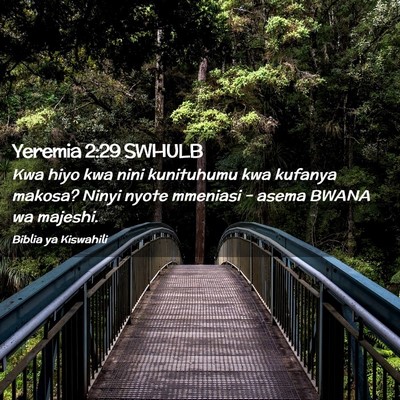 Picture 02 - Yeremia 2:29 SWHULB - Kwa hiyo kwa nini kunituhumu kwa kufanya makosa? - Bible Verse Picture