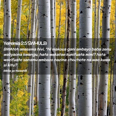 Picture 02 - Yeremia 2:5 SWHULB - BWANA anasema hivi, “Ni makosa gani ambayo baba - Bible Verse Picture