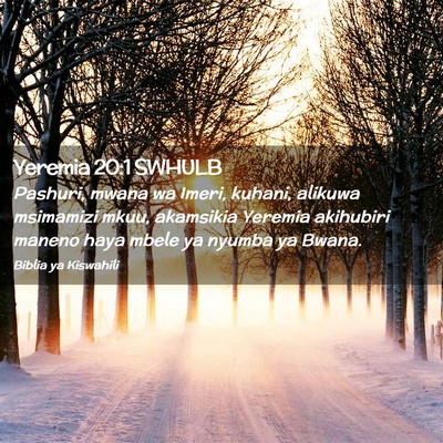 Picture 02 - Yeremia 20:1 SWHULB - Pashuri, mwana wa Imeri, kuhani, alikuwa - Bible Verse Picture
