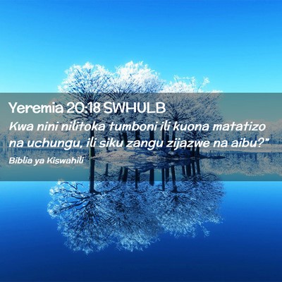 Picture 02 - Yeremia 20:18 SWHULB - Kwa nini nilitoka tumboni ili kuona matatizo na - Bible Verse Picture