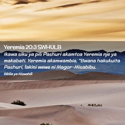 Picture 02 - Yeremia 20:3 SWHULB - Ikawa siku ya pili Pashuri akamtoa Yeremia nje ya - Bible Verse Picture