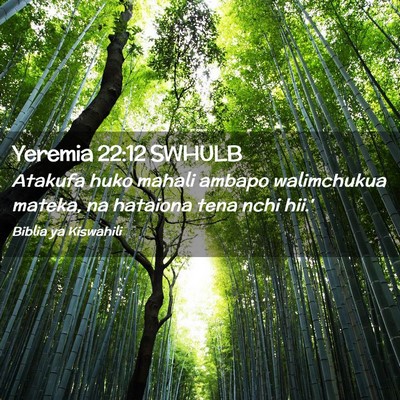 Picture 02 - Yeremia 22:12 SWHULB - Atakufa huko mahali ambapo walimchukua mateka, na - Bible Verse Picture