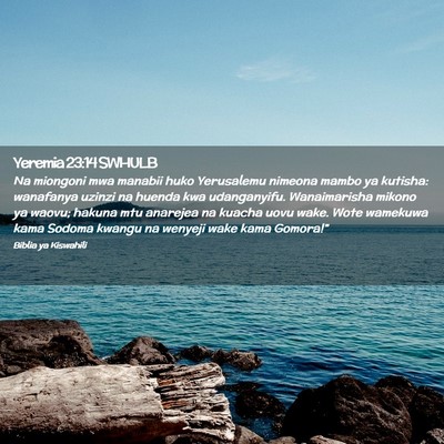 Picture 02 - Yeremia 23:14 SWHULB - Na miongoni mwa manabii huko Yerusalemu nimeona - Bible Verse Picture
