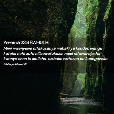 Picture 02 - Yeremia 23:3 SWHULB - Mimi mwenyewe nitakusanya mabaki ya kondoo wangu - Bible Verse Picture