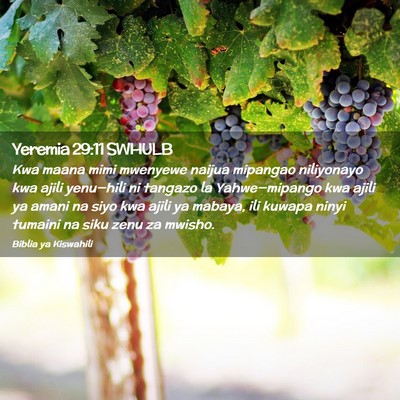 Picture 02 - Yeremia 29:11 SWHULB - Kwa maana mimi mwenyewe naijua mipangao - Bible Verse Picture