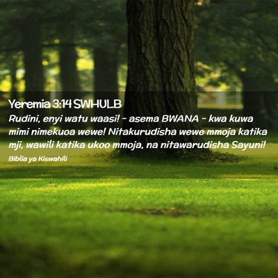 Picture 02 - Yeremia 3:14 SWHULB - Rudini, enyi watu waasi! - asema BWANA - kwa kuwa - Bible Verse Picture