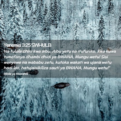 Picture 02 - Yeremia 3:25 SWHULB - Na tulale chini kwa aibu. Aibu yetu na itufunike, - Bible Verse Picture