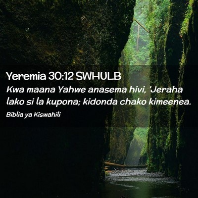 Picture 02 - Yeremia 30:12 SWHULB - Kwa maana Yahwe anasema hivi, 'Jeraha lako si la - Bible Verse Picture