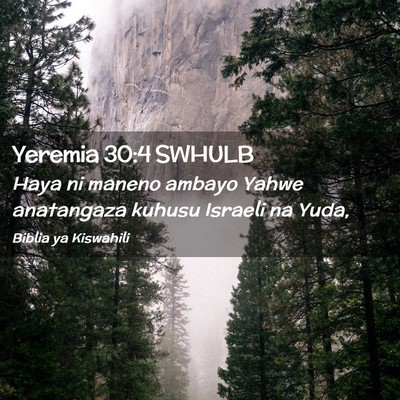 Picture 02 - Yeremia 30:4 SWHULB - Haya ni maneno ambayo Yahwe anatangaza kuhusu - Bible Verse Picture