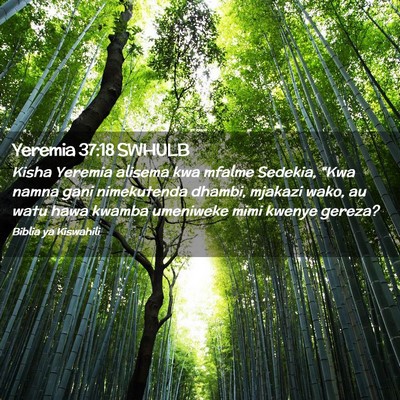 Picture 02 - Yeremia 37:18 SWHULB - Kisha Yeremia alisema kwa mfalme Sedekia, “Kwa - Bible Verse Picture