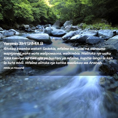 Picture 02 - Yeremia 39:4 SWHULB - Ilitokea kwamba wakati Sedekia, mfalme wa Yuda, - Bible Verse Picture