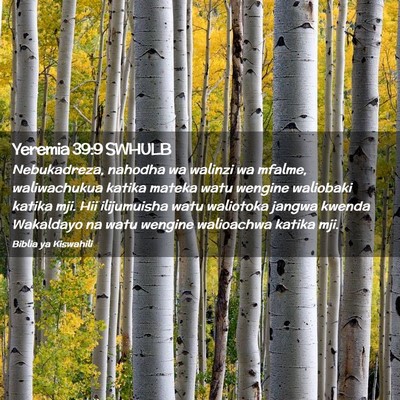 Picture 02 - Yeremia 39:9 SWHULB - Nebukadreza, nahodha wa walinzi wa mfalme, - Bible Verse Picture