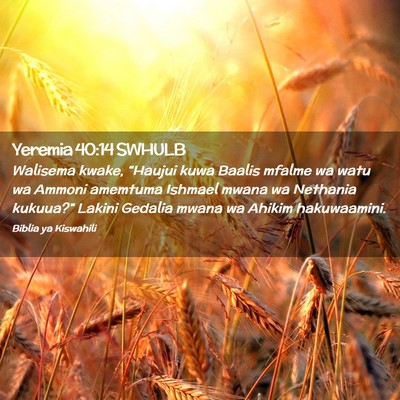 Picture 02 - Yeremia 40:14 SWHULB - Walisema kwake, “Haujui kuwa Baalis mfalme wa - Bible Verse Picture
