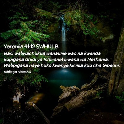 Picture 02 - Yeremia 41:12 SWHULB - Basi waliwachukua wanaume wao na kwenda kupigana - Bible Verse Picture