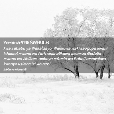 Picture 02 - Yeremia 41:18 SWHULB - kwa sababu ya Wakaldayo. Walikuwa wakiwaogopa - Bible Verse Picture