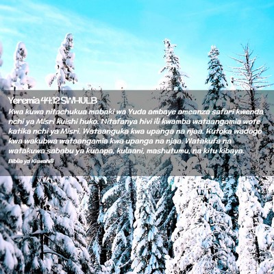 Picture 02 - Yeremia 44:12 SWHULB - Kwa kuwa nitachukua mabaki wa Yuda ambaye ameanza - Bible Verse Picture