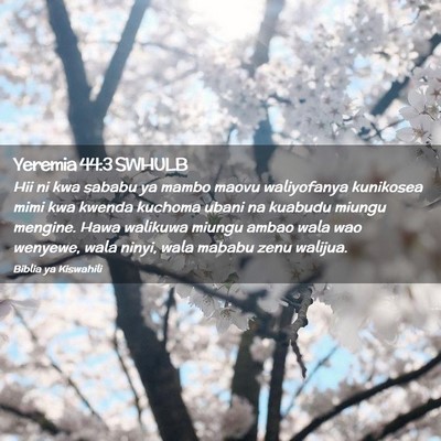 Picture 02 - Yeremia 44:3 SWHULB - Hii ni kwa sababu ya mambo maovu waliyofanya - Bible Verse Picture