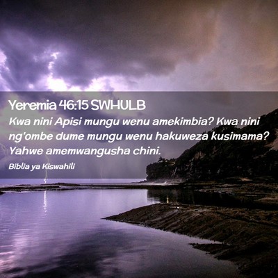 Picture 02 - Yeremia 46:15 SWHULB - Kwa nini Apisi mungu wenu amekimbia? Kwa nini - Bible Verse Picture