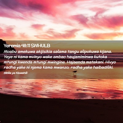 Picture 02 - Yeremia 48:11 SWHULB - Moabu amekuwa akijisikia salama tangu alipokuwa - Bible Verse Picture