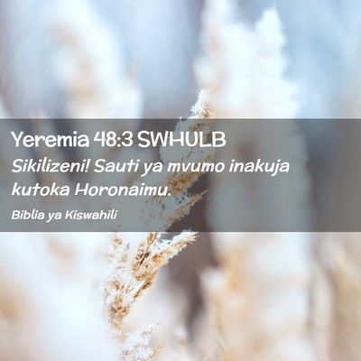 Picture 02 - Yeremia 48:3 SWHULB - Sikilizeni! Sauti ya mvumo inakuja kutoka - Bible Verse Picture