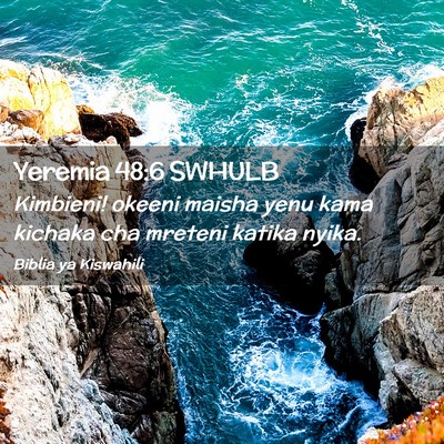 Picture 02 - Yeremia 48:6 SWHULB - Kimbieni! okeeni maisha yenu kama kichaka cha - Bible Verse Picture