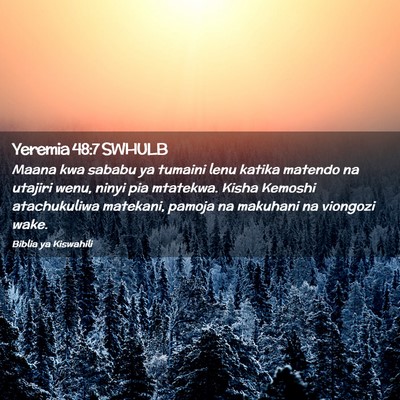 Picture 02 - Yeremia 48:7 SWHULB - Maana kwa sababu ya tumaini lenu katika matendo - Bible Verse Picture