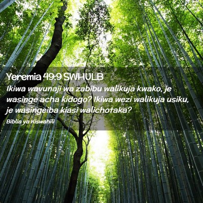 Picture 02 - Yeremia 49:9 SWHULB - Ikiwa wavunaji wa zabibu walikuja kwako, je - Bible Verse Picture