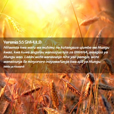 Picture 02 - Yeremia 5:5 SWHULB - Nitaenda kwa watu wa muhimu na kutangaza ujumbe - Bible Verse Picture
