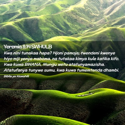 Picture 02 - Yeremia 8:14 SWHULB - Kwa nini tunakaa hapa? Njoni pamoja; twendeni - Bible Verse Picture