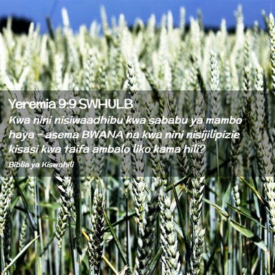 Picture 02 - Yeremia 9:9 SWHULB - Kwa nini nisiwaadhibu kwa sababu ya mambo haya - - Bible Verse Picture