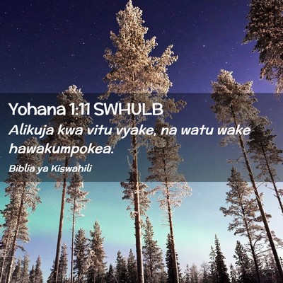 Picture 02 - Yohana 1:11 SWHULB - Alikuja kwa vitu vyake, na watu wake - Bible Verse Picture