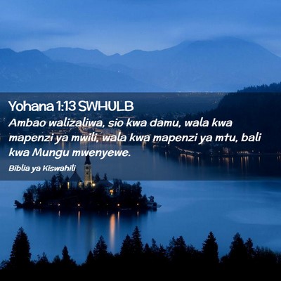 Picture 02 - Yohana 1:13 SWHULB - Ambao walizaliwa, sio kwa damu, wala kwa mapenzi - Bible Verse Picture