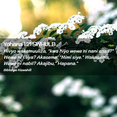 Picture 02 - Yohana 1:21 SWHULB - Hivyo wakamuuliza, “kwa hiyo wewe ni nani - Bible Verse Picture