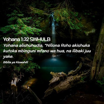 Picture 02 - Yohana 1:32 SWHULB - Yohana alishuhudia, “Niliona Roho akishuka - Bible Verse Picture