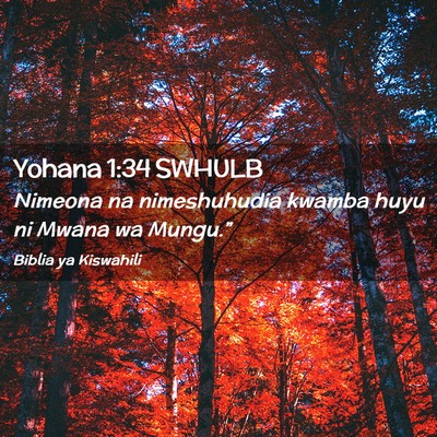 Picture 02 - Yohana 1:34 SWHULB - Nimeona na nimeshuhudia kwamba huyu ni Mwana wa - Bible Verse Picture