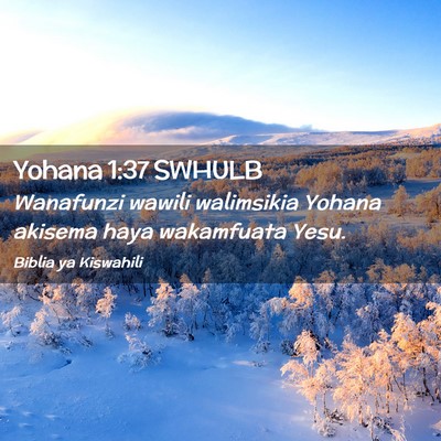 Picture 02 - Yohana 1:37 SWHULB - Wanafunzi wawili walimsikia Yohana akisema haya - Bible Verse Picture