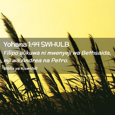 Picture 02 - Yohana 1:44 SWHULB - Filipo alikuwa ni mwenyeji wa Bethsaida, mji wa - Bible Verse Picture