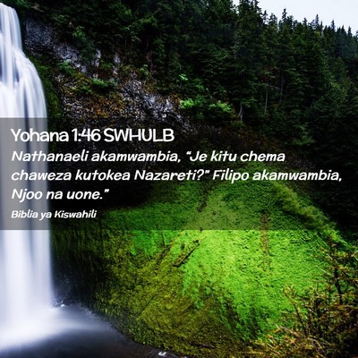 Picture 02 - Yohana 1:46 SWHULB - Nathanaeli akamwambia, “Je kitu chema chaweza - Bible Verse Picture
