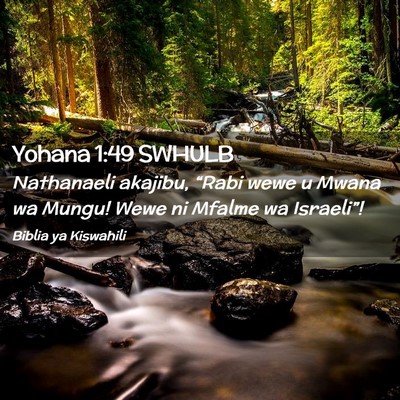 Picture 02 - Yohana 1:49 SWHULB - Nathanaeli akajibu, “Rabi wewe u Mwana wa - Bible Verse Picture