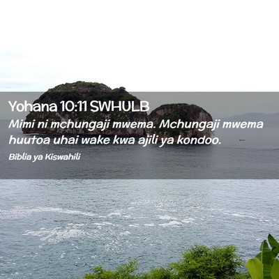 Picture 02 - Yohana 10:11 SWHULB - Mimi ni mchungaji mwema. Mchungaji mwema huutoa - Bible Verse Picture