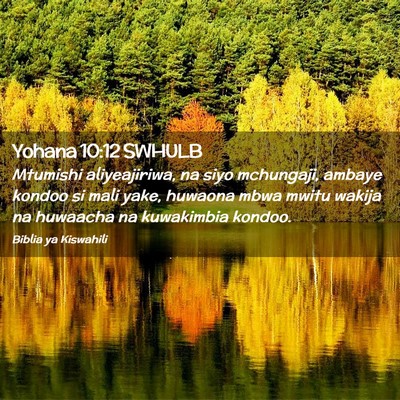 Picture 02 - Yohana 10:12 SWHULB - Mtumishi aliyeajiriwa, na siyo mchungaji, ambaye - Bible Verse Picture