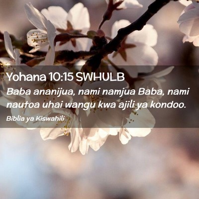 Picture 02 - Yohana 10:15 SWHULB - Baba ananijua, nami namjua Baba, nami nautoa uhai - Bible Verse Picture