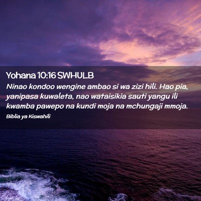 Picture 02 - Yohana 10:16 SWHULB - Ninao kondoo wengine ambao si wa zizi hili. Hao - Bible Verse Picture