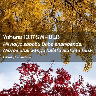 Picture 02 - Yohana 10:17 SWHULB - Hii ndiyo sababu Baba ananipenda: Niutoe uhai - Bible Verse Picture