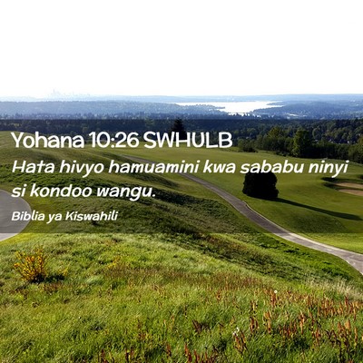 Picture 02 - Yohana 10:26 SWHULB - Hata hivyo hamuamini kwa sababu ninyi si kondoo - Bible Verse Picture