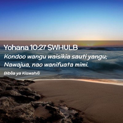 Picture 02 - Yohana 10:27 SWHULB - Kondoo wangu waisikia sauti yangu; Nawajua, nao - Bible Verse Picture