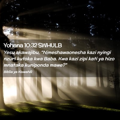 Picture 02 - Yohana 10:32 SWHULB - Yesu akawajibu, “Nimeshawaonesha kazi nyingi - Bible Verse Picture